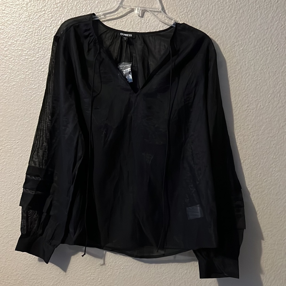 Express brand Black, sheer Blouse size Large